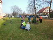 Výsadba u MŠ 2015 - sponzorováno firmou PAJR s.r.o.Vlkava